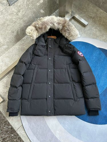 canada goose avec fourrure 2055337