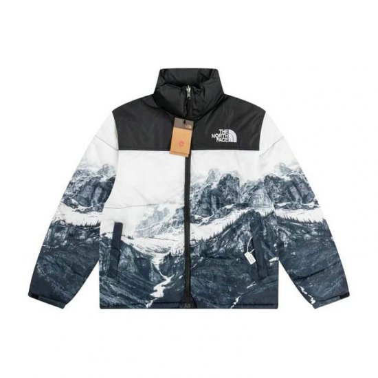 doudoune north face homme himalayan 2035194