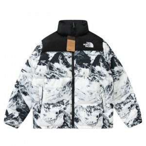 the north face doudoune 700 homme 2035166