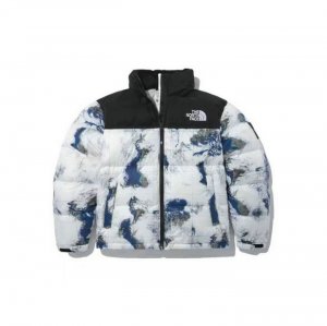 veste homme the north face 2137215