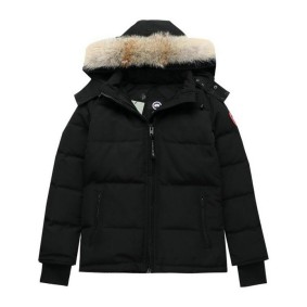 canada goose chauffante 2118610