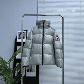 canada goose chauffante 2138279