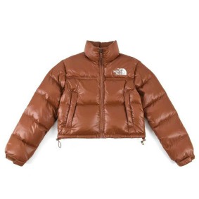 veste the north face veste femme 2137133